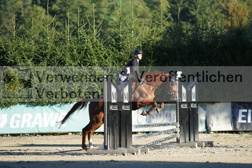 DSC08083 | equestrian-live-com