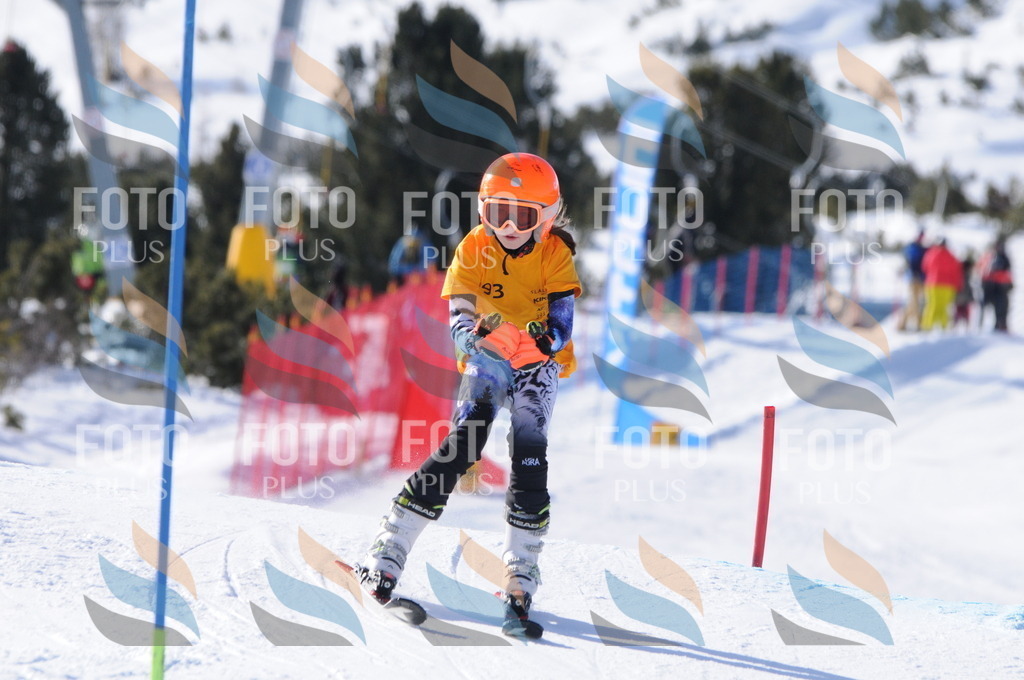 C7044 | holidayphoto