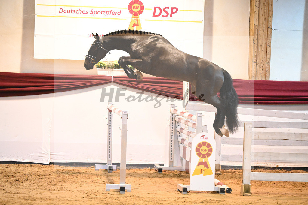 Kat-Nr. 50 v. Tobago Z_Gisler_66221230 | hf-fotografie - Realisiert mit Pictrs.com