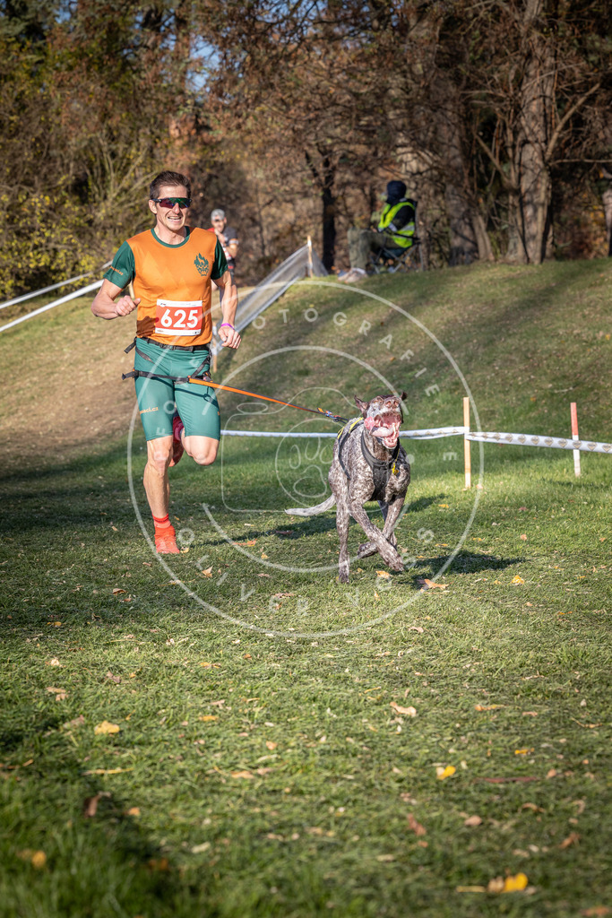 CaniXpix_0L8A8819 | Hundefotografie, Tierfotograf, Pfotenfotografie, Fotoshooting Hund, Hunde Portrait, Hundesport, Hundeportraits, Heideshooting, Hunde, Sportfotograf, Hundefotograf, Turnierhundsport, THS,  - Realisiert mit Pictrs.com