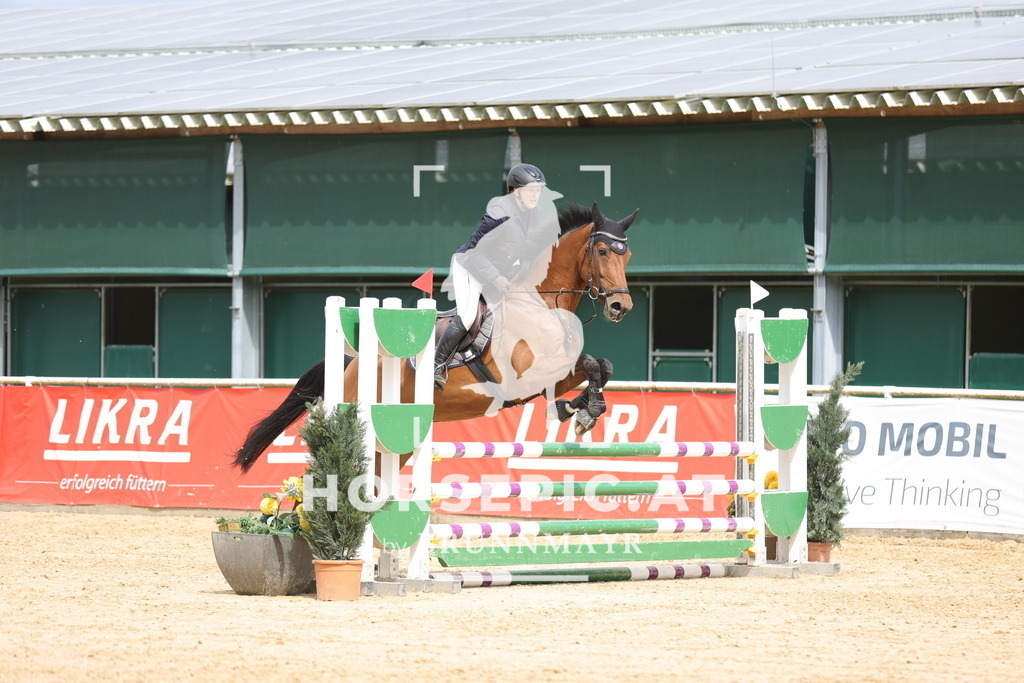 0P6A3715 | Willkommen bei Brunnmayr - Design & Fotografie – Ihrem Spezialisten für Reitturniere und Pferdeveranstaltungen in Oberösterreich, Salzburg und Bayern! Seit über 17 Jahren sind wir leidenschaftlich dabei.