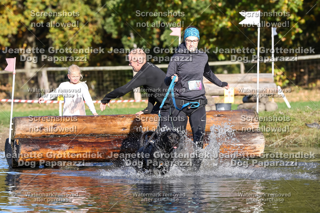 Dog Paparazzi - Strongdog 10-25-8700 | Dog Paparazzi Jeanette Grottendiek Fotografie & Videografie - Realisiert mit Pictrs.com