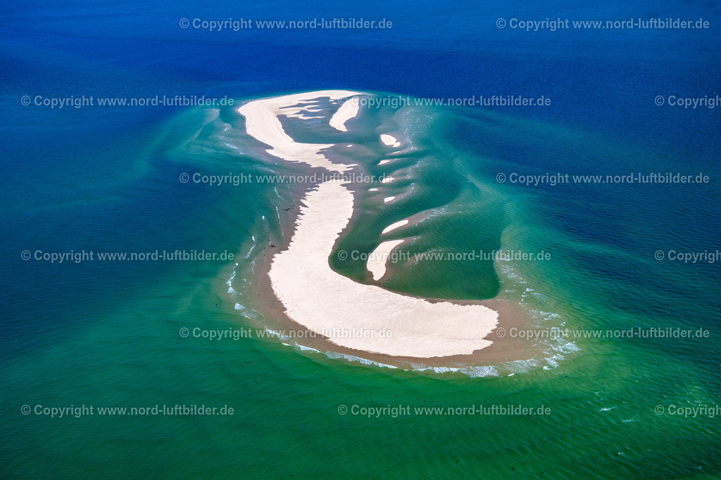 Sylt_Robben_und_Seehundbank_Vor_Sylt_ELS_0011130825 | SANDBANK VOR AMRUM SYLT 13.08.2025 Seehunde, Kegelrobben auf einer Sandbank- Landfläche in der Meeres- Wasseroberfläche Nordsee vor Amrum im Bundesland Schleswig-Holstein. // Seals on one area in the sea water surface North Sea in front of Amrum in the state Schleswig-Holstein. Foto: Martin Elsen