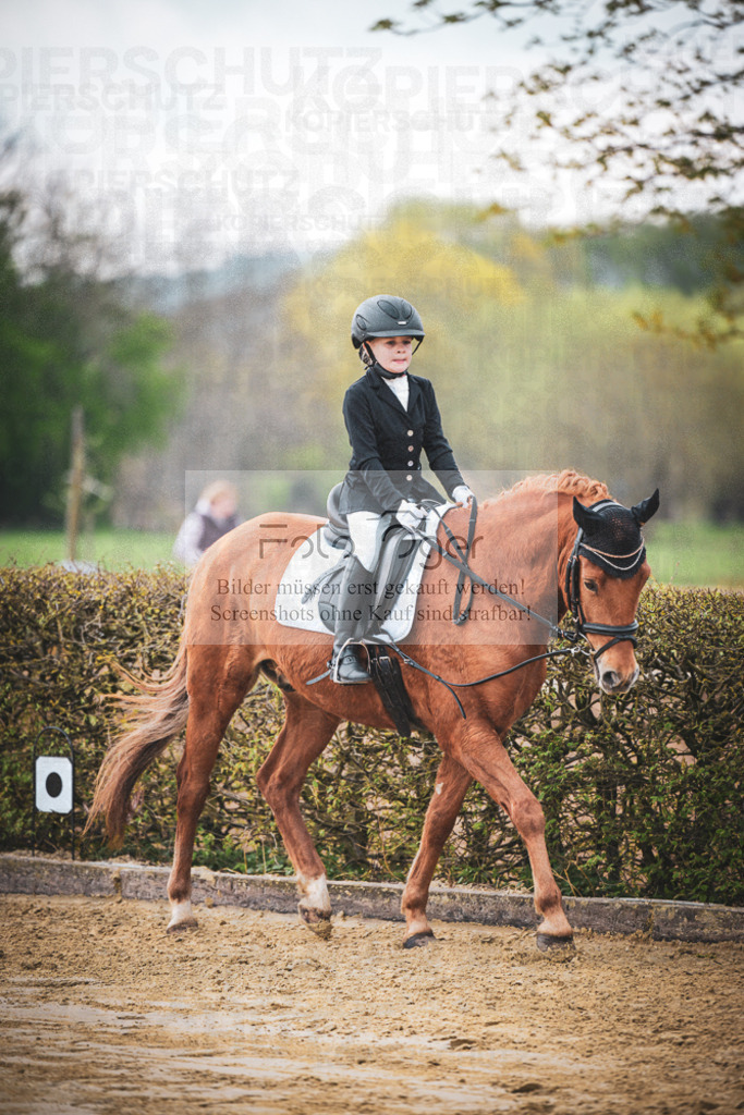 DOS_5408 | Entdecke hochwertige Reitturnierfotos von Foto Oger. Professionell, emotional und authentisch – jetzt Lieblingsmomente im Shop bestellen.Deutschlandweite Turnierfotografie. - Realisiert mit Pictrs.com