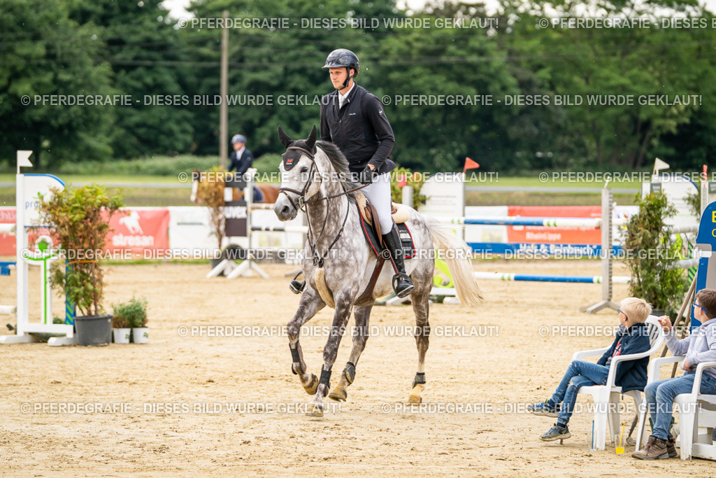 DSC06027 | Pferdegrafie