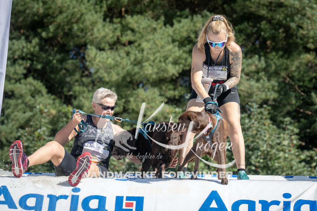 1216_ZZ95824 | kk-dogfotos