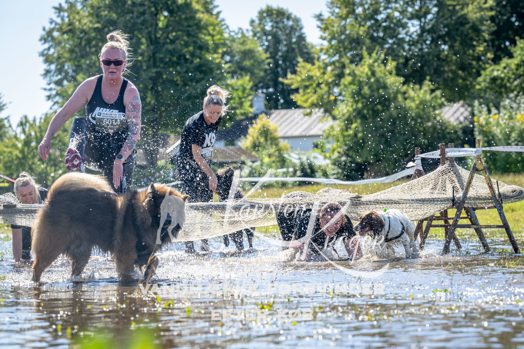 1252_ZZ90359 | kk-dogfotos