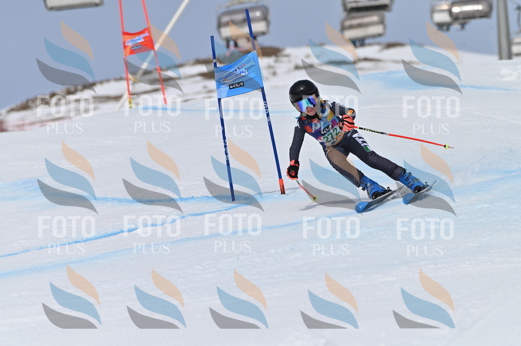 BGV_5383 | holidayphoto