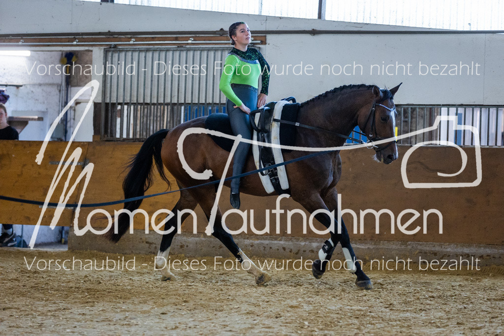 GS-NS-017 | MomenTaufnahmen Pferdesportfotos