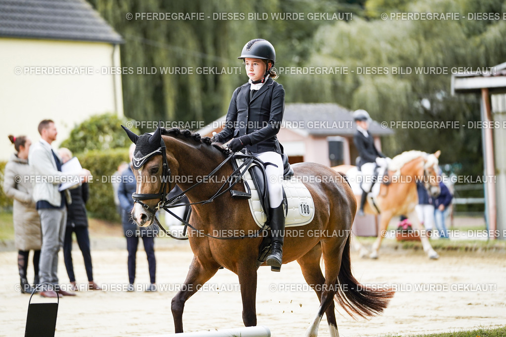 DSC04585 | Pferdegrafie