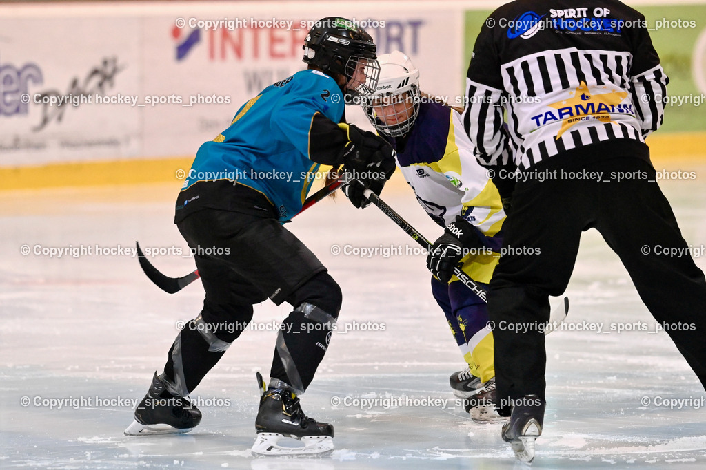 BST_6311 | hockey sports photos, Pressefotos, Sportfotos, hockey247, win 2day icehockeyleague, Handball Austria, Floorball Austria, ÖVV, Kärntner Eishockeyverband, KEHV, KFV, Kärntner Fussballverband, Österreichischer Volleyballverband, Alps Hockey League, ÖFB, 