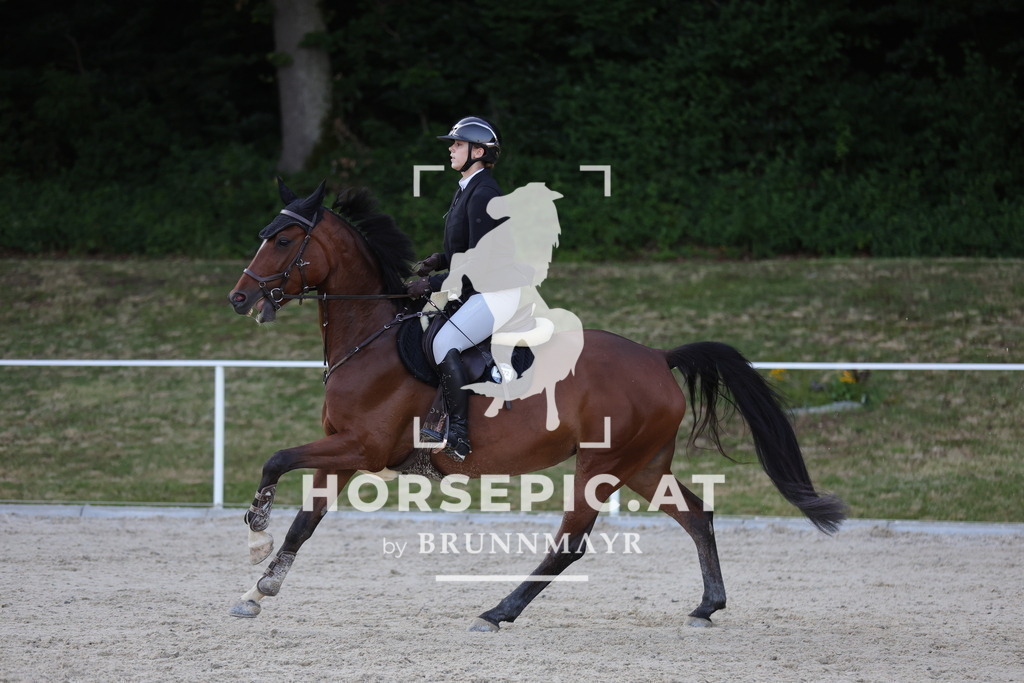 0P6A7433 | Willkommen bei Brunnmayr - Design & Fotografie – Ihrem Spezialisten für Reitturniere und Pferdeveranstaltungen in Oberösterreich, Salzburg und Bayern! Seit über 17 Jahren sind wir leidenschaftlich dabei.