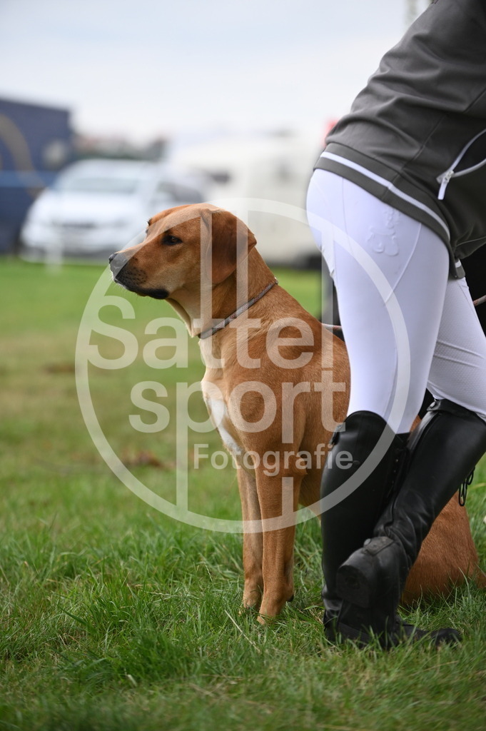 DSC_0275 | sattelsport - Realisiert mit Pictrs.com