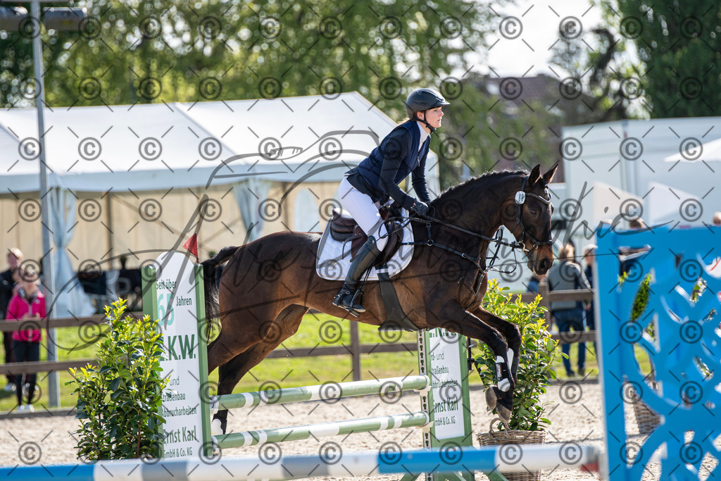 KPT_4503 | andre_photographic