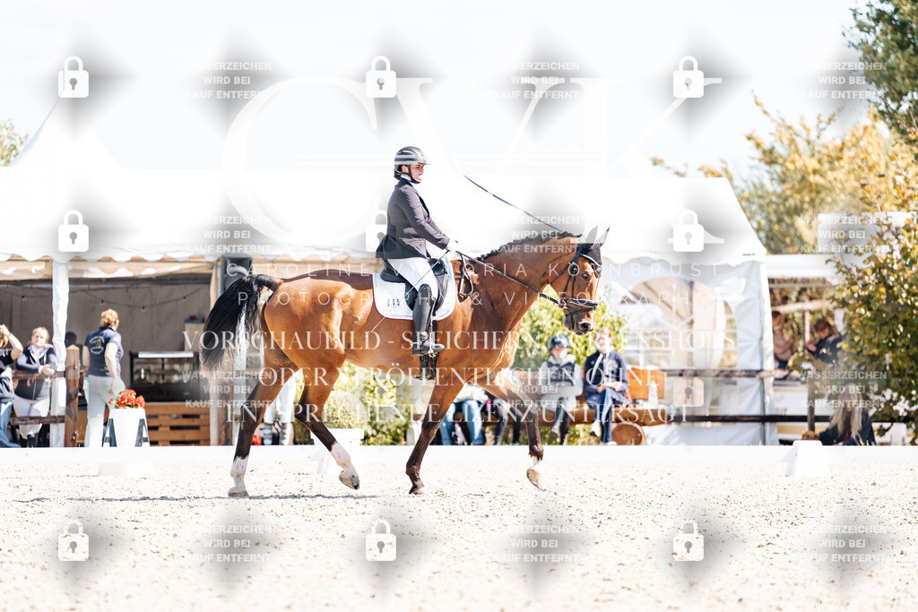 CK903257 | Turnierfotografie Pferdefotografie Trier Rheinland-Pfalz Pferdesport Reitsport Tierfotografie Sportfotografie Pferdevideo Pferdevideografie Equestrianvideography equestrianphotography  - Realisiert mit Pictrs.com