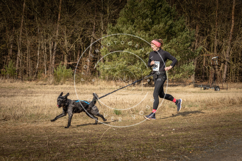 DV3A5874 | Hundefotografie, Tierfotograf, Pfotenfotografie, Fotoshooting Hund, Hunde Portrait, Hundesport, Hundeportraits, Heideshooting, Hunde, Sportfotograf, Hundefotograf, Turnierhundsport, THS,  - Realisiert mit Pictrs.com