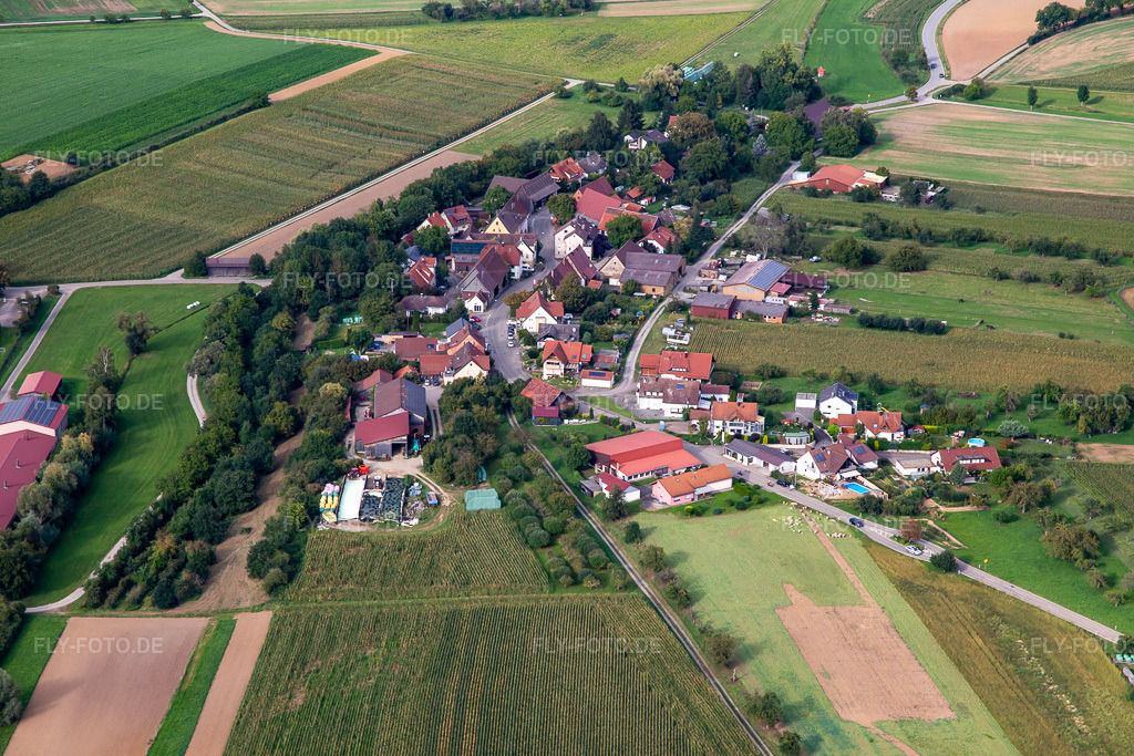 Luftbild: Abstetterhof im Ortsteil Auenstein in Ilsfeld im Bundesland Baden-Württemberg in Deutschland. Foto: IMG_138631.jpg vom 16.09.2023 durch Werner Riehm/FLY-FOTO.de