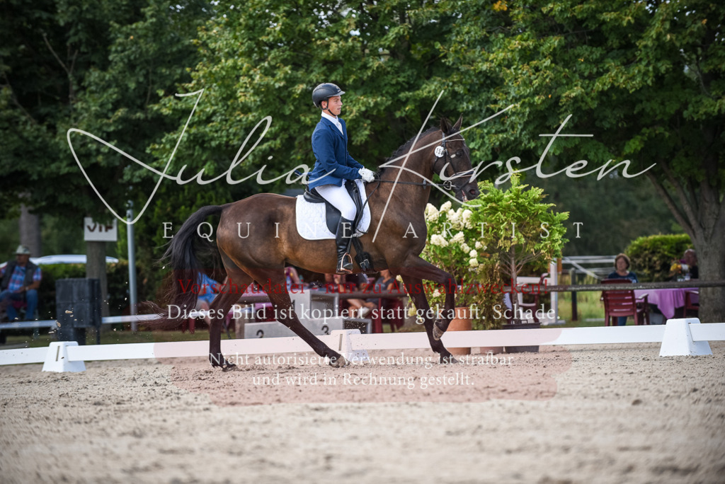 DSC_9197 | Pferde- und Turnierfotografie in Westsachsen. Pferdeportraits, Auftragszeichnungen und intuitive Kunst.