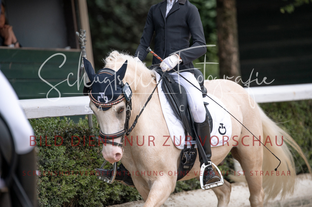 Schugtsche-Aluta25-40.DressurprfA_-453 | Schugtsche Fotografie - Realisiert mit Pictrs.com