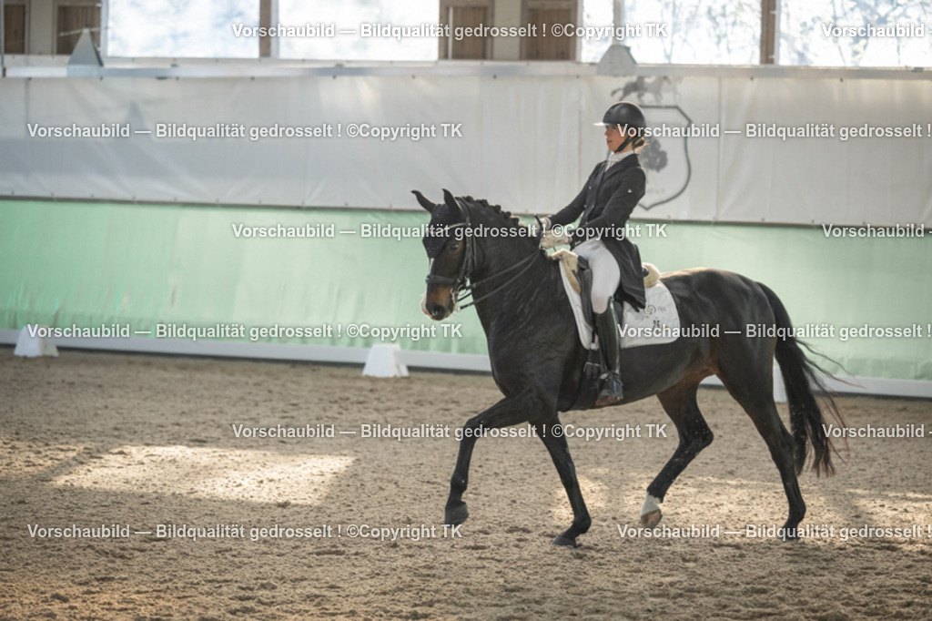 _D5A0626 | Emotionale Pferde- & People-Fotografie rund um Heidelberg, Leimen & Umgebung. Natürliche Fotos von Pferd, Mensch & Familie. Jetzt Termin sichern!