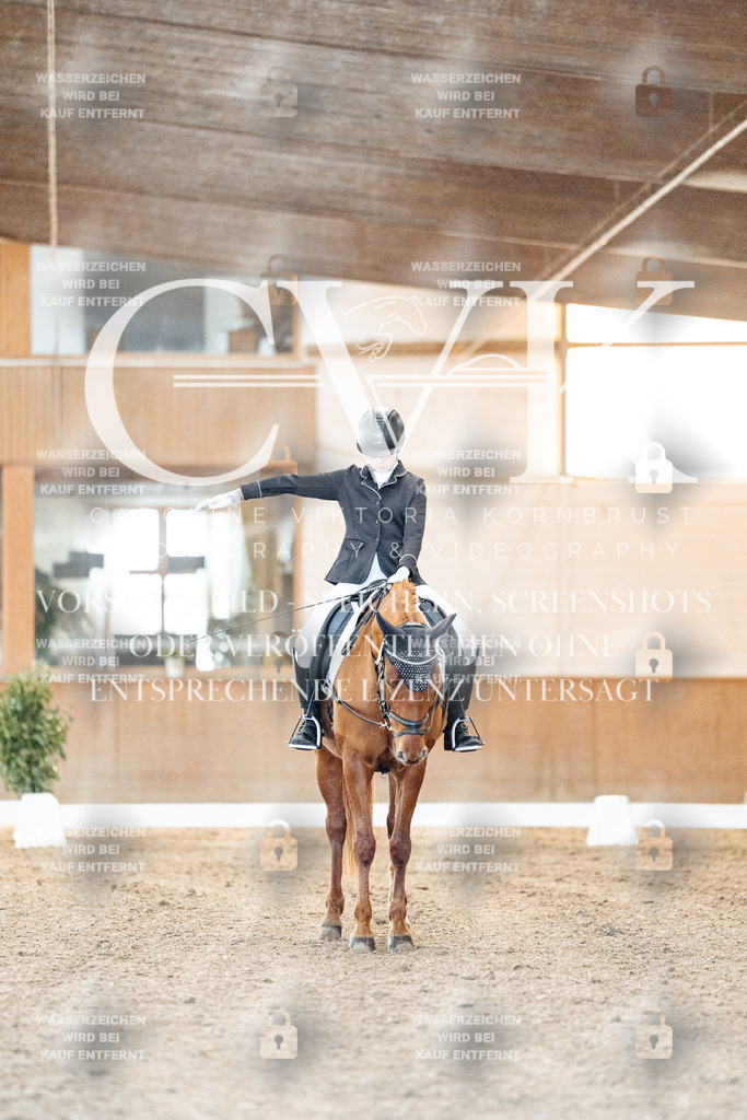 CK906550 | Turnierfotografie Pferdefotografie Trier Rheinland-Pfalz Pferdesport Reitsport Tierfotografie Sportfotografie Pferdevideo Pferdevideografie Equestrianvideography equestrianphotography  - Realized with Pictrs.com