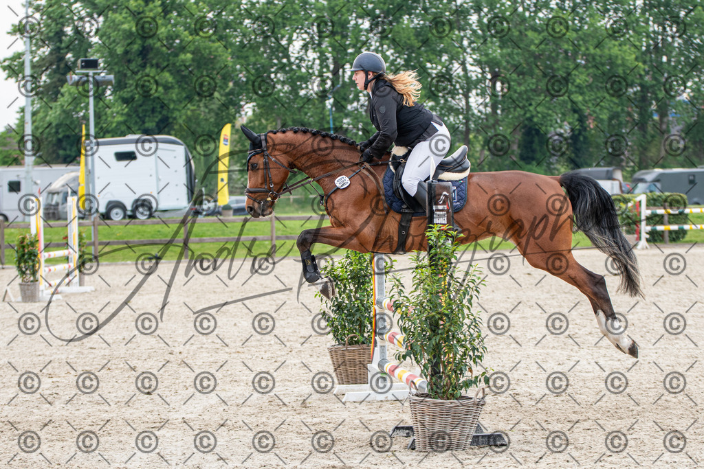 KPT_2324 | andre_photographic