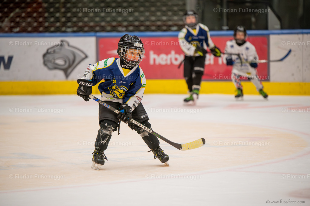 DSC_4172 | "Fussifoto.com – Ihr Ansprechpartner für hochwertige Fotografie! Entdecken Sie kreative Bilder und professionelle Dienstleistungen. Kontaktieren Sie uns für Ihre Projekte!"