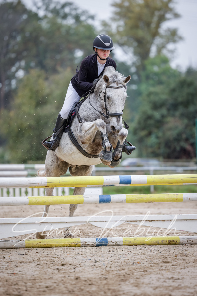 20251012-_3LI3443 | Tierfotografie Pferde, Hunde, Katzen, Haustiere.
Turnierfotografie Reitturniere, Reiten, Springreiten, Dressur in Hanau, dem Main-Kinzig-Kreis und dem Rhein-Main- Gebiet um Frankfurt