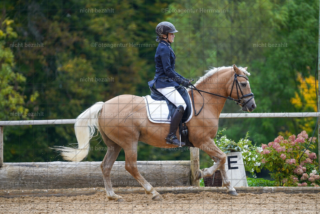 20221008-FAH00951 | Diessen am Ammersee, 2022, Dressur- und Springturnier, Reitsportbilder, Turnierfotografen Bayern, Pferdefotografen, Fotoagentur Herrmann, Turnierbilder