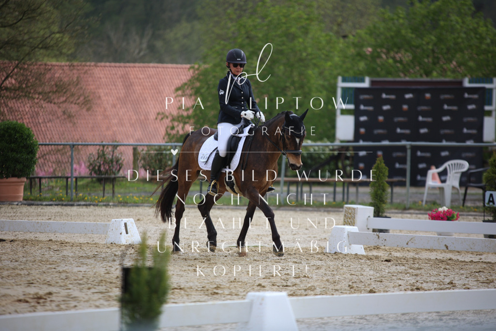 IMGT5666 | pl-fotografie