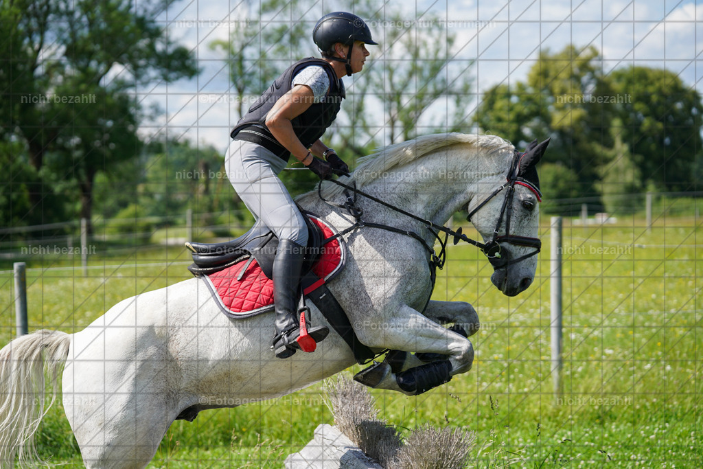 20240622-FAH07812 | Turnierfotografen Bayern, Reitsportbilder aus dem Geländekurs mit Felix Etzel auf dem Gut Waitzacker 2024