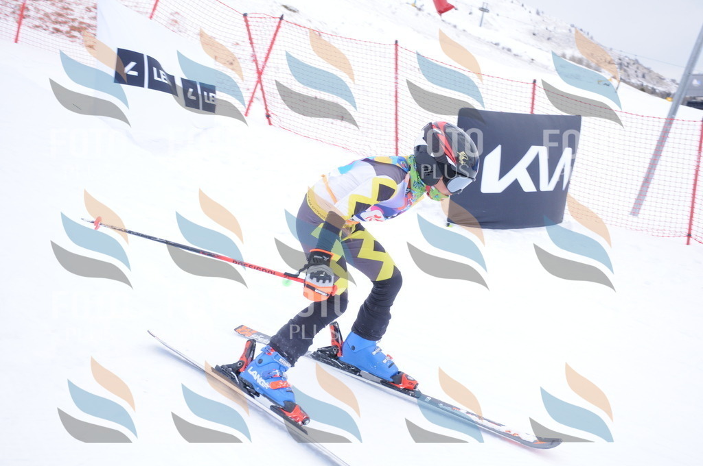 DSC_8774 | holidayphoto