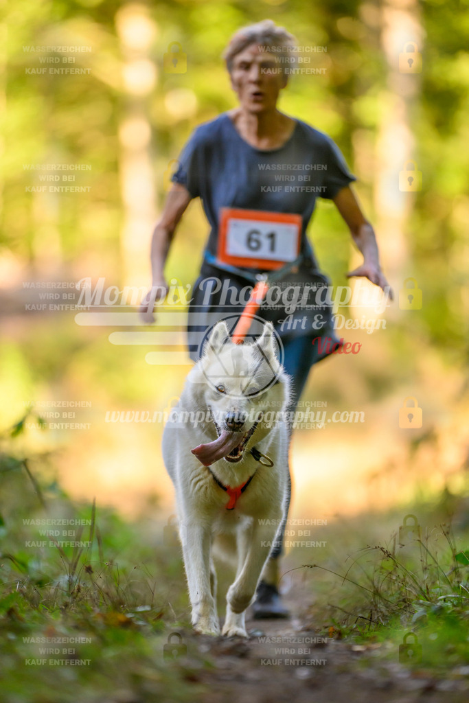 MompixPhotography_Yens2025_B3-164 | PayLife