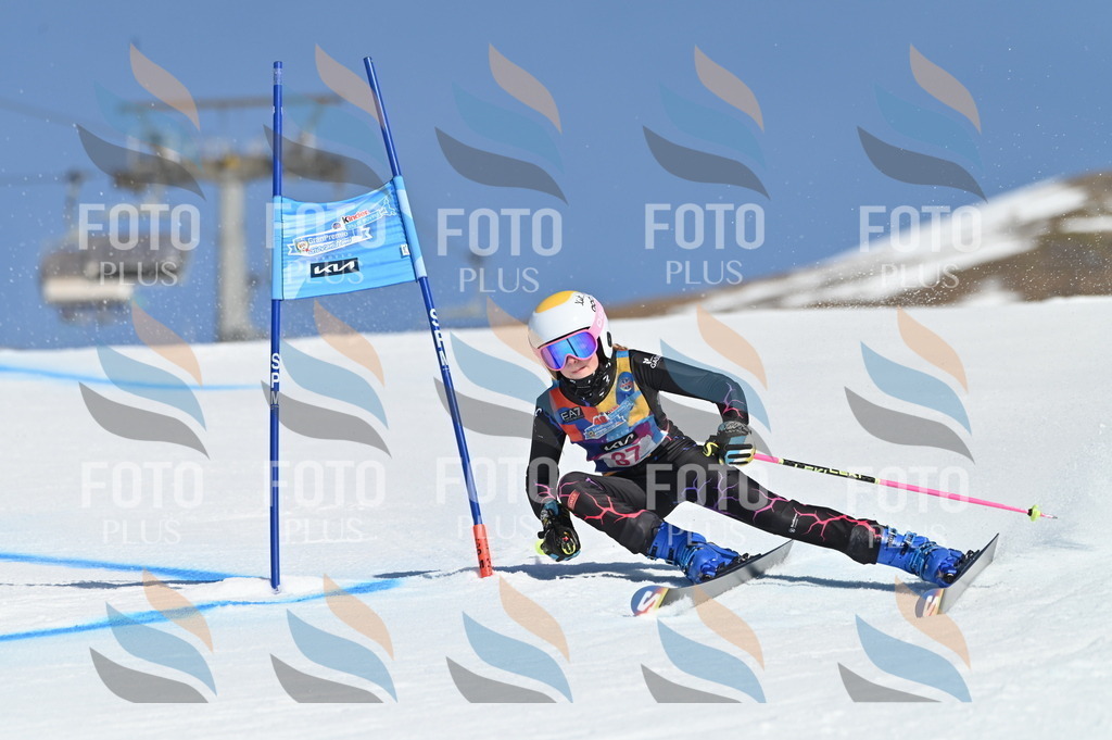 BGV_8289 | holidayphoto