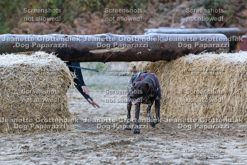 Dog Paparazzi - Strongdog 10-25-194 | Dog Paparazzi Jeanette Grottendiek Fotografie & Videografie - Realisiert mit Pictrs.com
