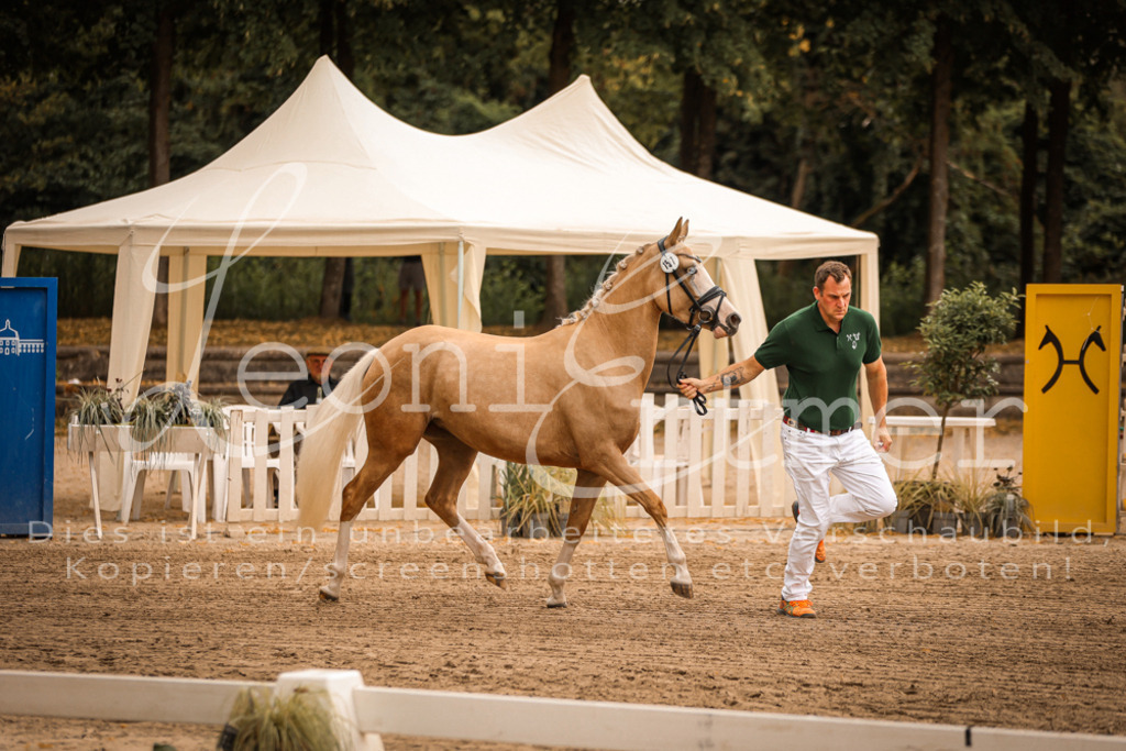 10.So00009 | Leoni Ertmer Photography - Realisiert mit Pictrs.com