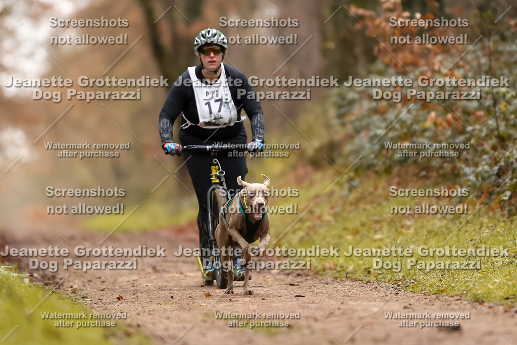 Dog Paparazzi - Speedhunter Mannheim  2025-47 | Dog Paparazzi Jeanette Grottendiek Fotografie & Videografie