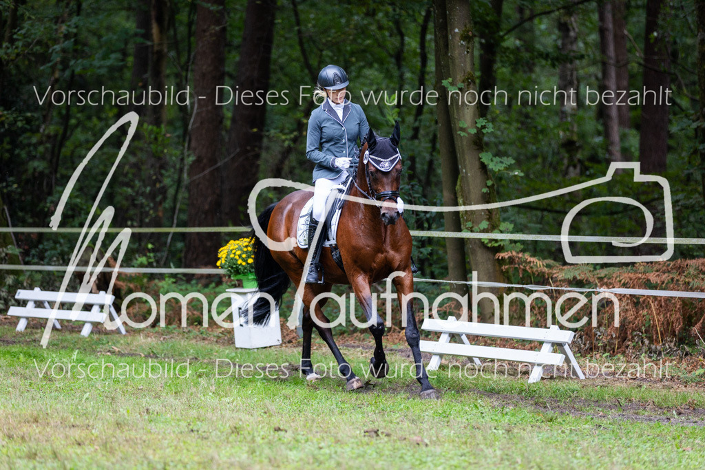 HB-A-Dressur-099 | MomenTaufnahmen Pferdesportfotos