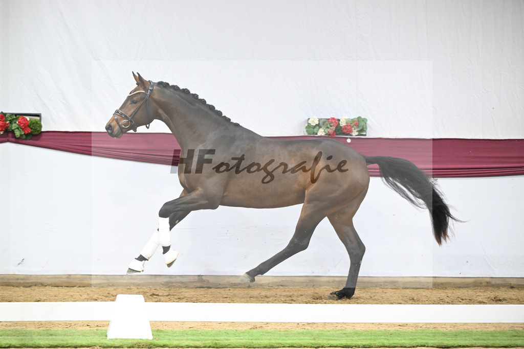 Kat-Nr. 123 Elastic x Belissimo M_Limbecker GnbH u Co. KG_47254082 | hf-fotografie - Realisiert mit Pictrs.com