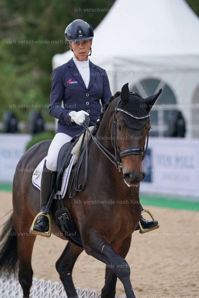 3-241-Dressur M_-Marixx-2186 | working equitationturnier fotograf videograf stoibphotography marixx film working equitation deutschland reitsport turnierfotografie eventfotografie equestrian events