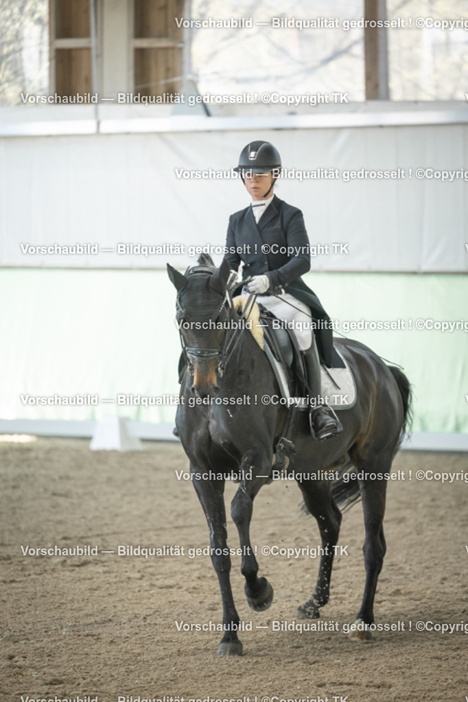 _D5A1054 | Emotionale Pferde- & People-Fotografie rund um Heidelberg, Leimen & Umgebung. Natürliche Fotos von Pferd, Mensch & Familie. Jetzt Termin sichern!