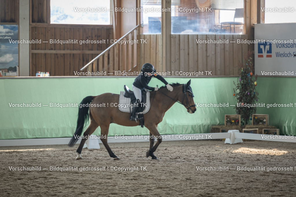 _D5A8570 | Emotionale Pferde- & People-Fotografie rund um Heidelberg, Leimen & Umgebung. Natürliche Fotos von Pferd, Mensch & Familie. Jetzt Termin sichern!