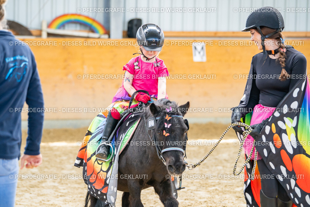 DSC00419 | Pferdegrafie