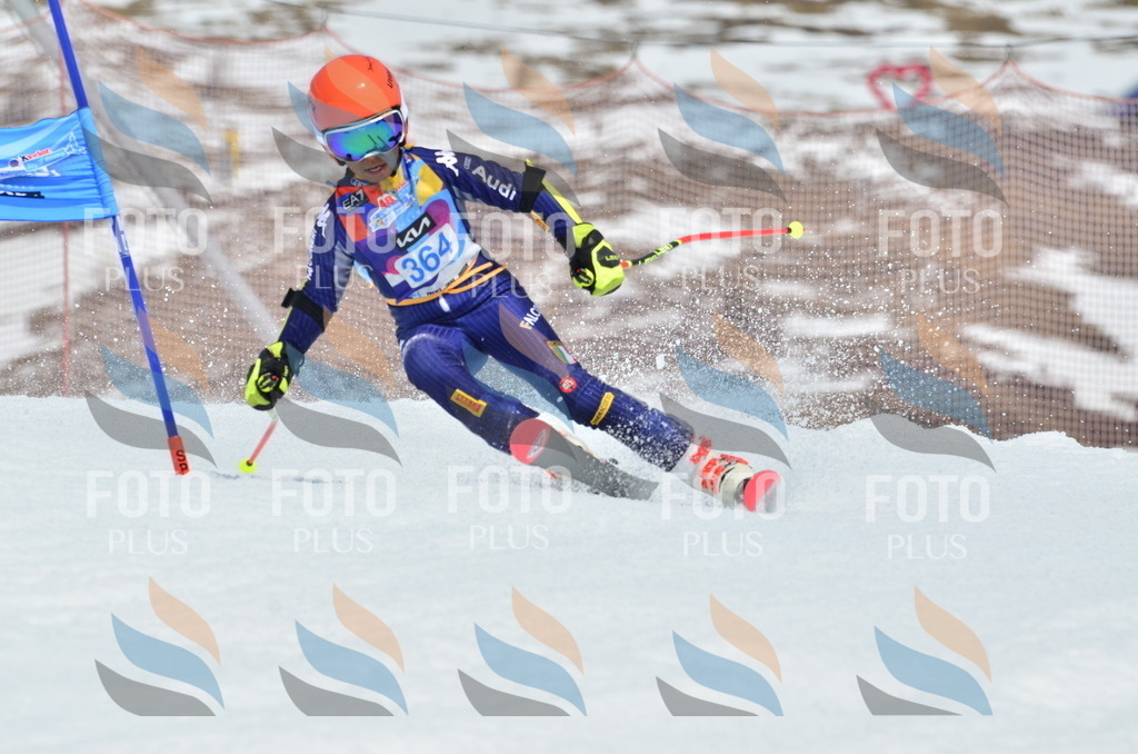 _ELE2908 | holidayphoto