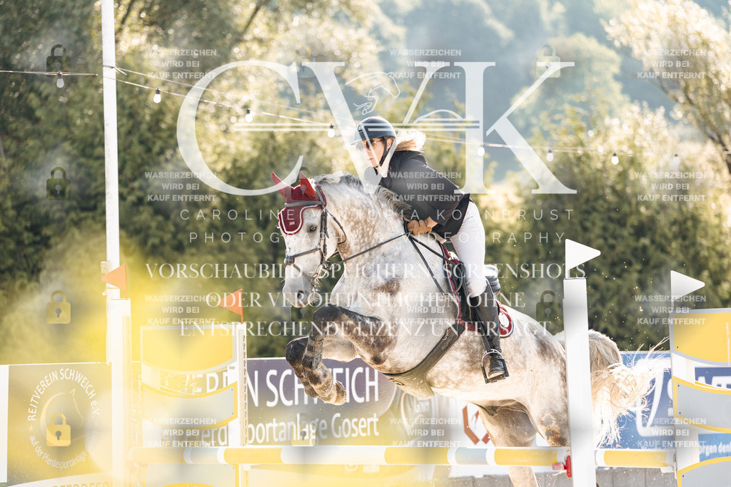 CK907495 | Turnierfotografie Pferdefotografie Trier Rheinland-Pfalz Pferdesport Reitsport Tierfotografie Sportfotografie Pferdevideo Pferdevideografie Equestrianvideography equestrianphotography  - Realisiert mit Pictrs.com
