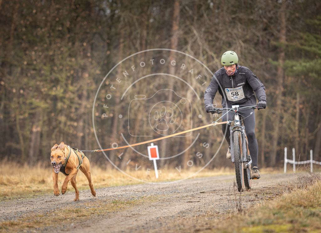 DV3A3257 | Hundefotografie, Tierfotograf, Pfotenfotografie, Fotoshooting Hund, Hunde Portrait, Hundesport, Hundeportraits, Heideshooting, Hunde, Sportfotograf, Hundefotograf, Turnierhundsport, THS,  - Realisiert mit Pictrs.com