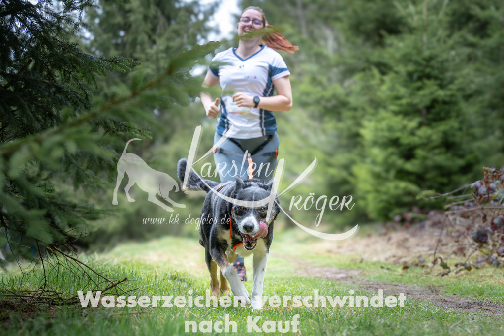 1305_ZZ93594 | kk-dogfotos