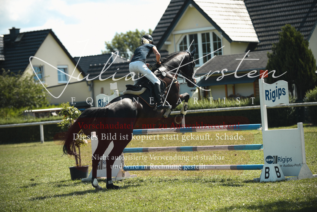 DSC_6927 | Pferde- und Turnierfotografie in Westsachsen. Pferdeportraits, Auftragszeichnungen und intuitive Kunst.