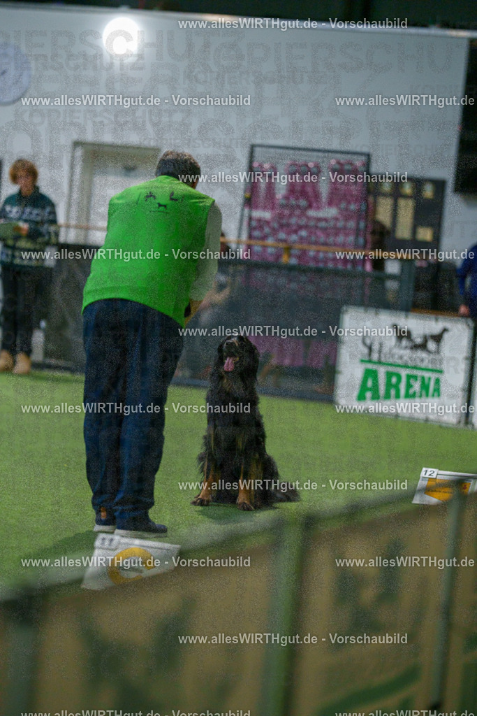 7R505369 | Professionelle Tierfotografie in Mönchengladbach von Daniel Wirth (allesWIRTHgut). Liebevolle & natürliche Bilder von Hunden & Katzen für unvergessliche Erinnerungen.