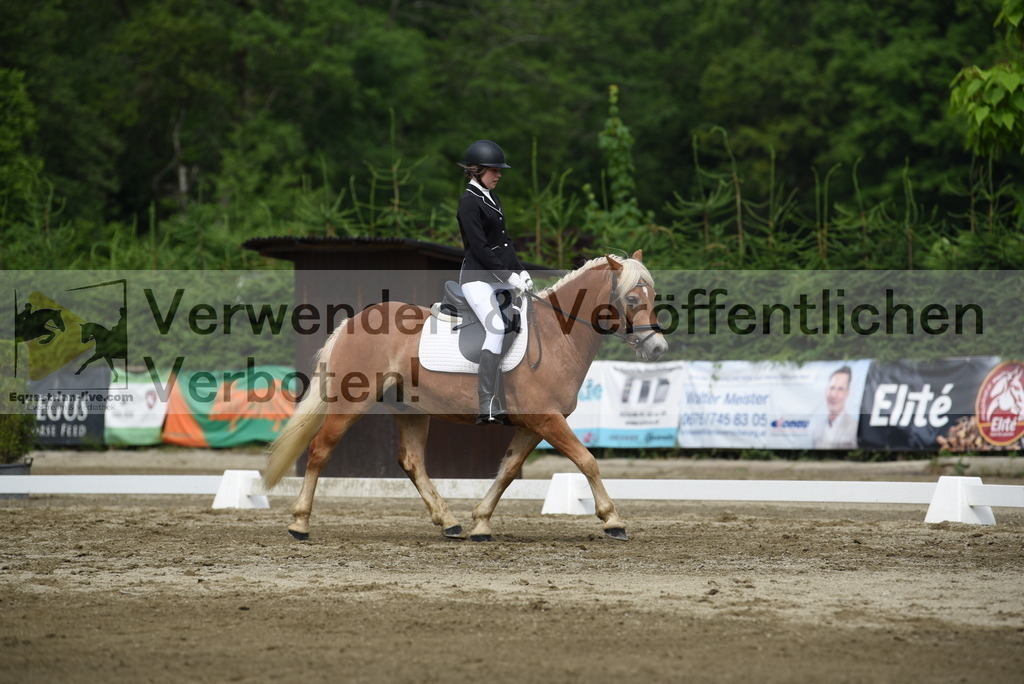 DSC_8244 | equestrian-live-com